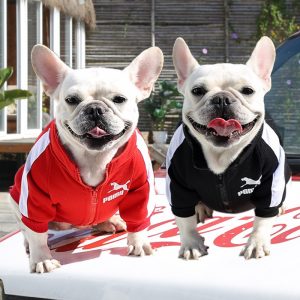 Roupa de Cachorro Moletom Jaqueta com Zíper Pet Street Wear