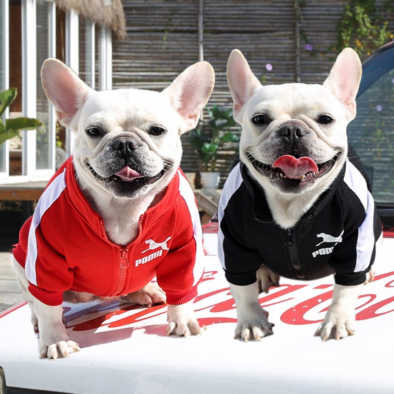 Roupa de Cachorro Moletom Jaqueta com Zíper Pet Street Wear